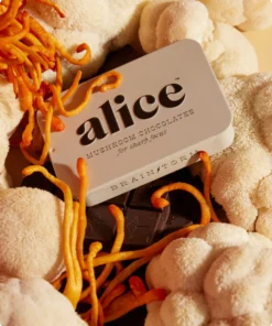Alice Mushroom Chocolate Bars